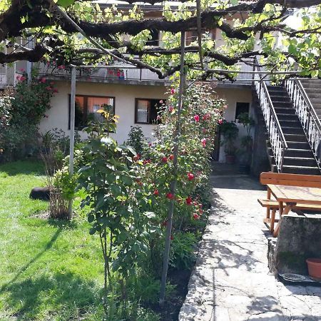 Apartment Dejan Cetinje Bagian luar foto