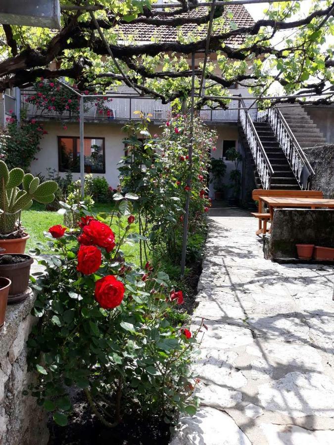 Apartment Dejan Cetinje Bagian luar foto
