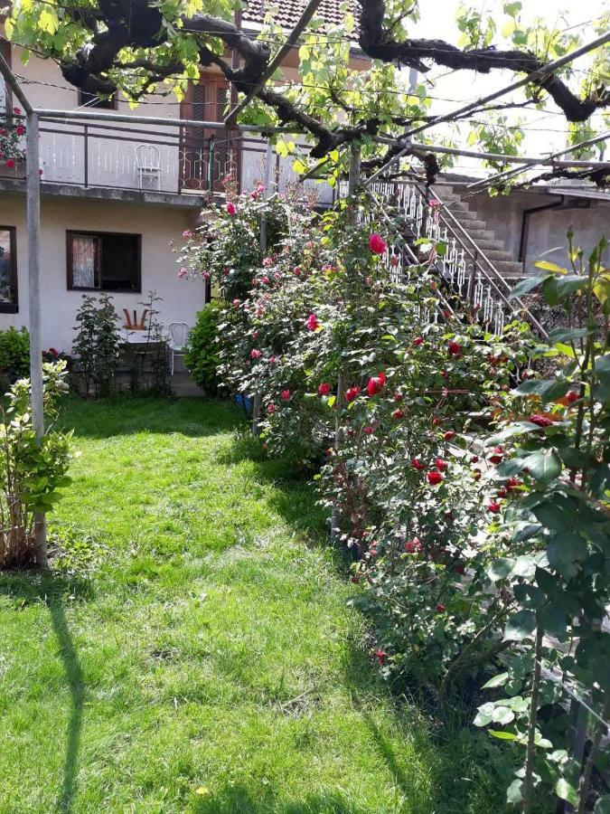 Apartment Dejan Cetinje Bagian luar foto