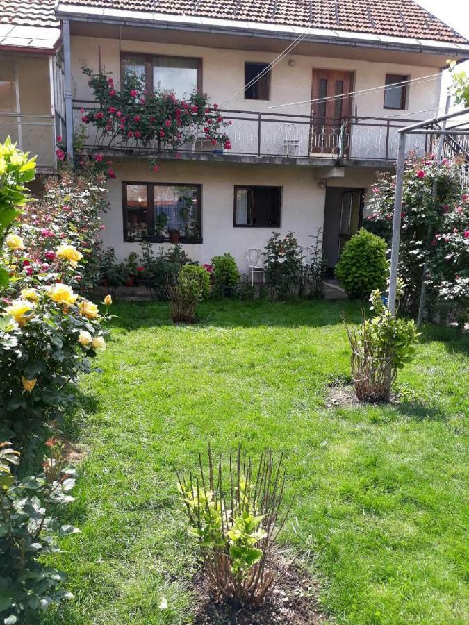 Apartment Dejan Cetinje Bagian luar foto